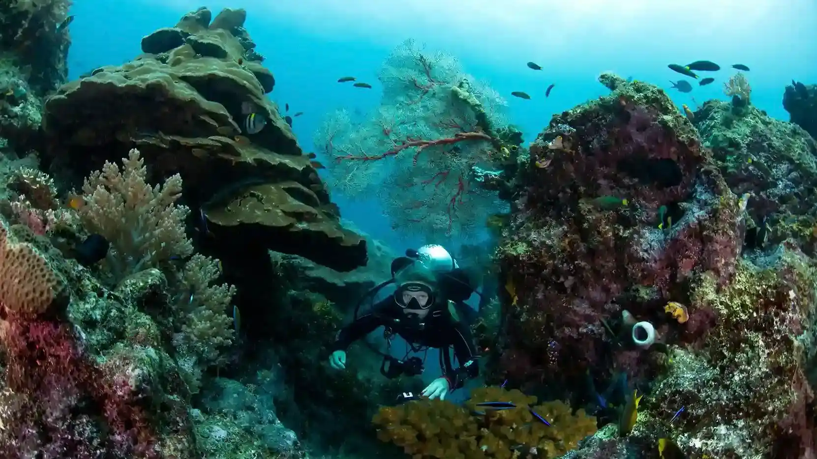 10 Tempat Terbaik untuk Berenang di Indonesia: Eksplorasi Parai Raya!