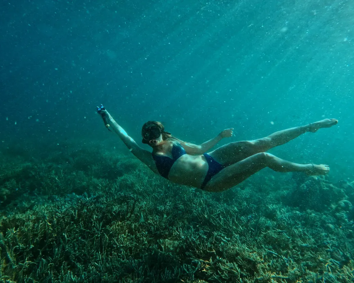 Komodo Liveaboard Dining Area