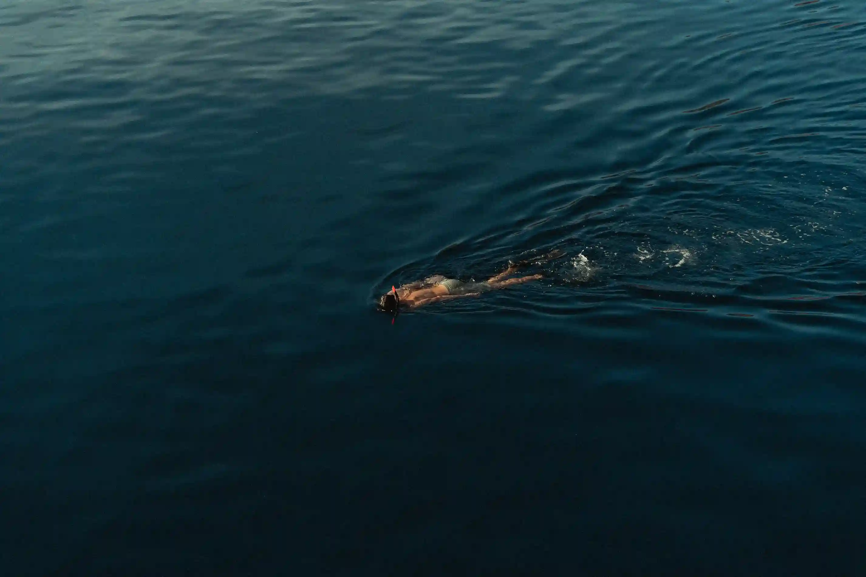 Vela Phinisi Boat Charter | Boat Komodo Trip