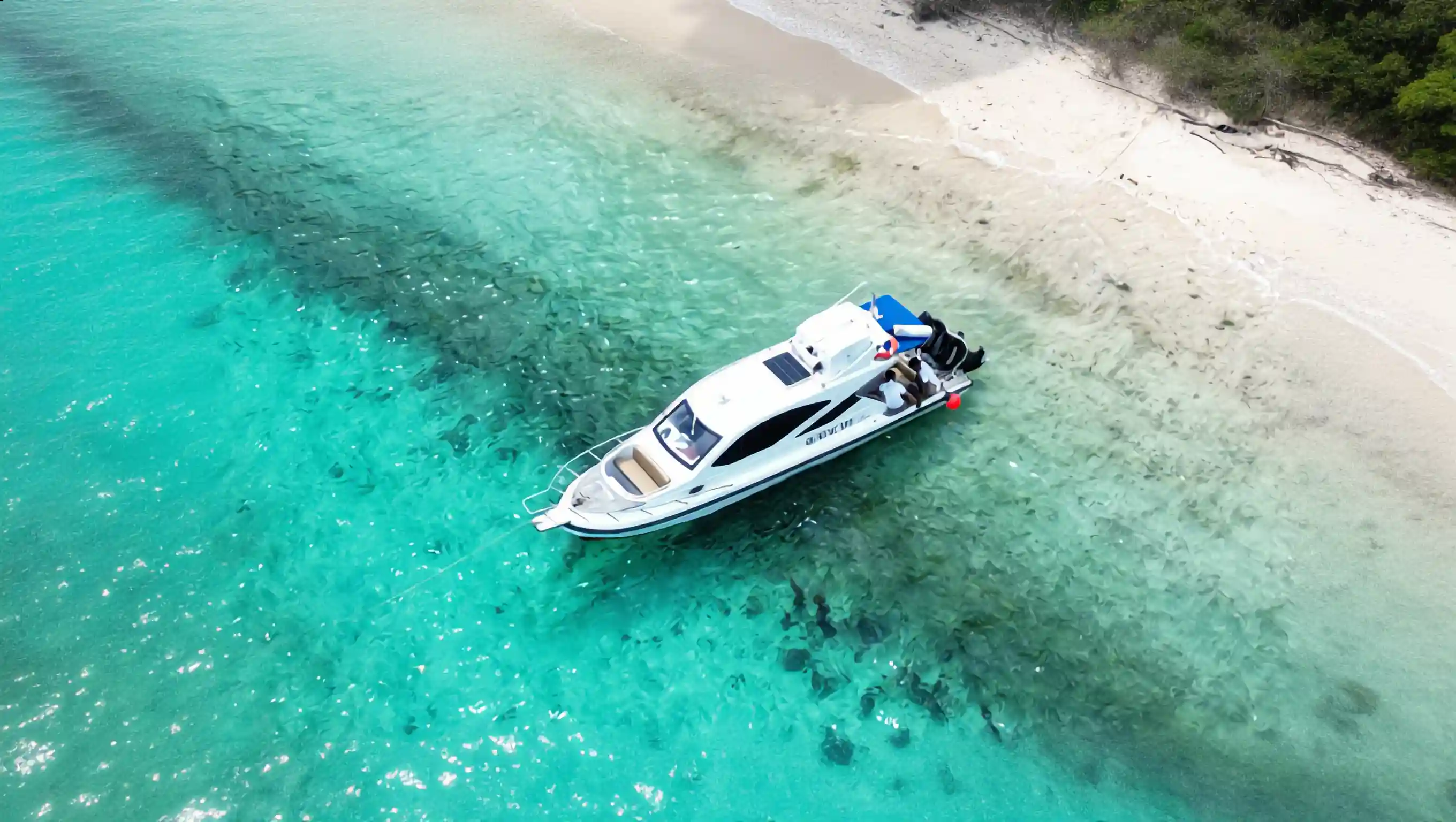 Sea Escape Aero Speeboat Charter Exterior | Boat Komodo Trip